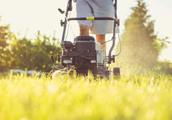Garden Maintenance